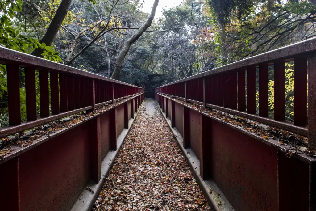 千葉亀山ダム周辺