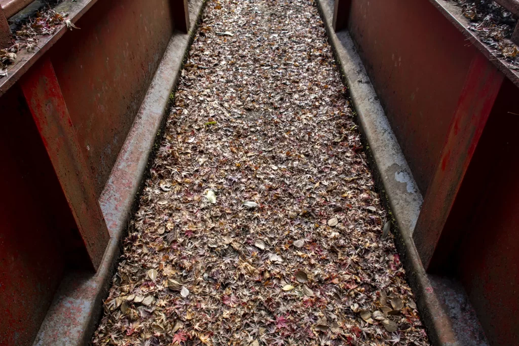 千葉亀山ダム周辺