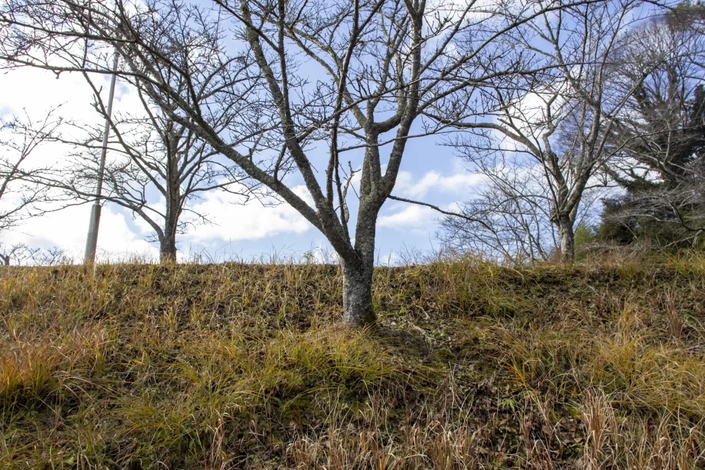 千葉亀山ダム周辺