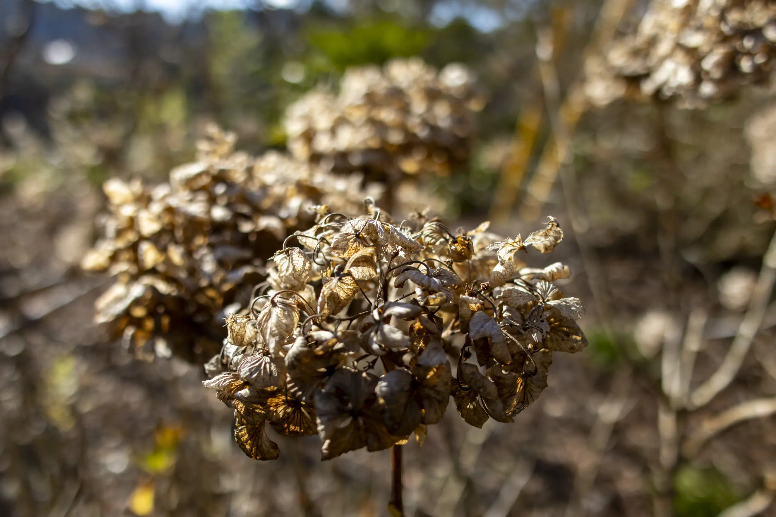 千葉亀山ダム周辺