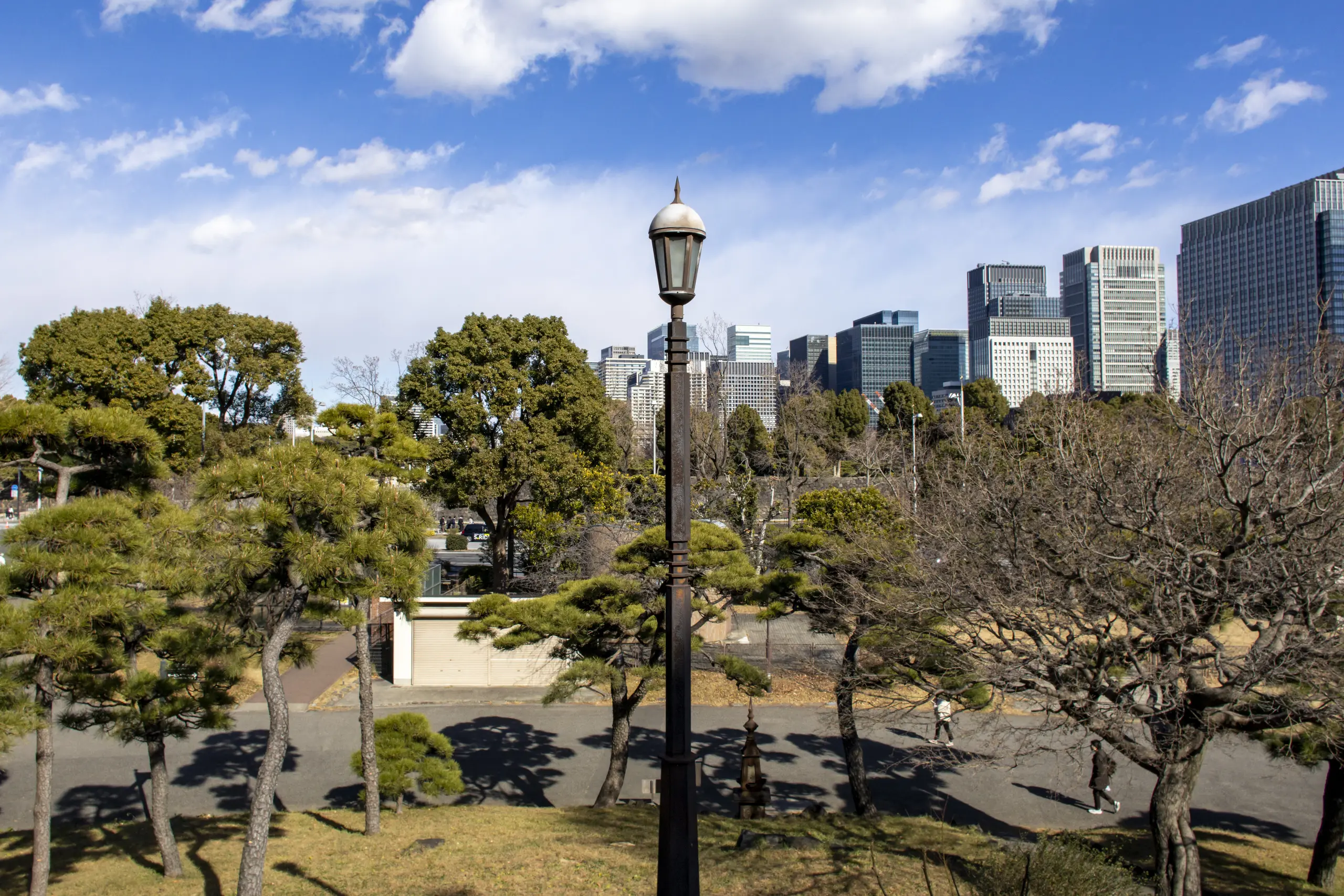 有楽町→皇居→日比谷公園→警視庁→国会議事堂→総理官邸→日枝神社→赤坂→青山→表参道→代々木公園→旧前田邸→三軒茶屋 No.10