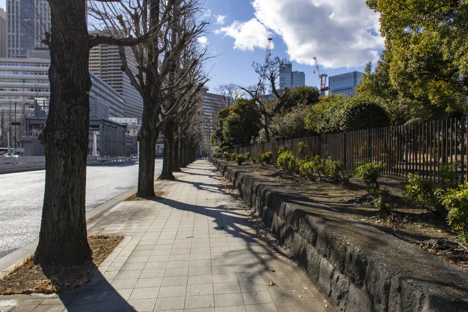 有楽町→皇居→日比谷公園→警視庁→国会議事堂→総理官邸→日枝神社→赤坂→青山→表参道→代々木公園→旧前田邸→三軒茶屋