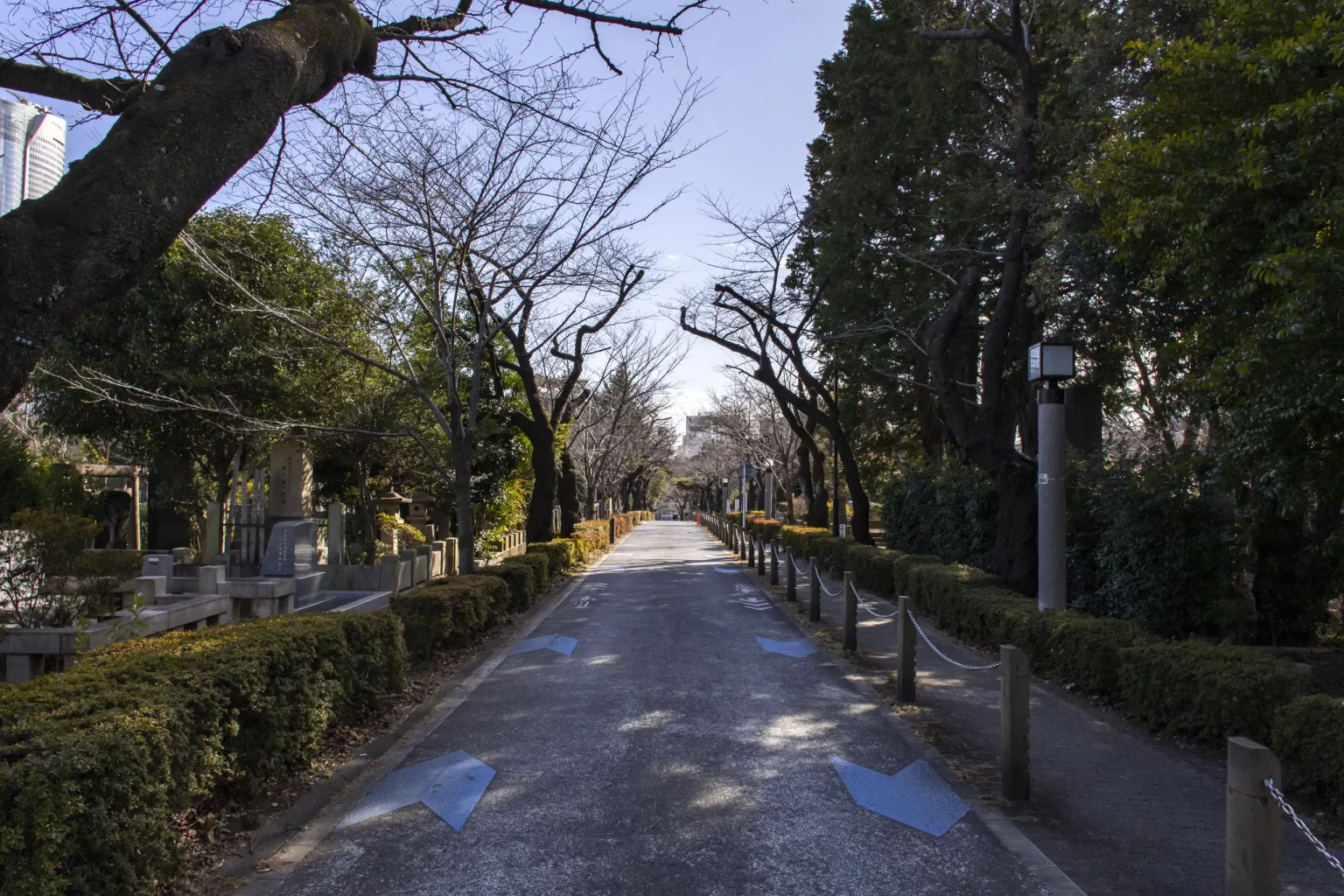 有楽町→皇居→日比谷公園→警視庁→国会議事堂→総理官邸→日枝神社→赤坂→青山→表参道→代々木公園→旧前田邸→三軒茶屋