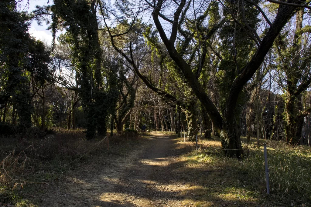 有楽町→皇居→日比谷公園→警視庁→国会議事堂→総理官邸→日枝神社→赤坂→青山→表参道→代々木公園→旧前田邸→三軒茶屋