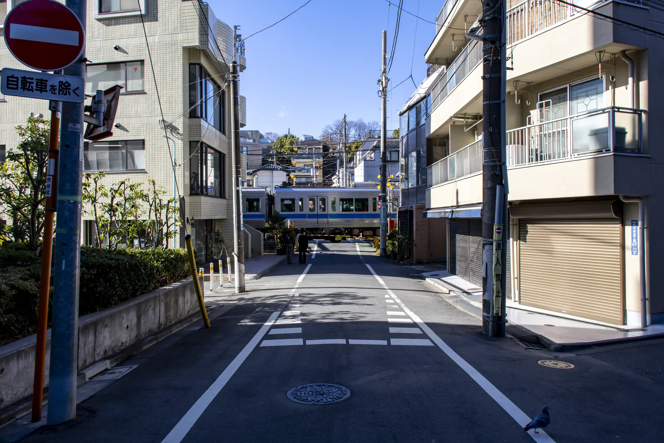 有楽町→皇居→日比谷公園→警視庁→国会議事堂→総理官邸→日枝神社→赤坂→青山→表参道→代々木公園→旧前田邸→三軒茶屋 No.50