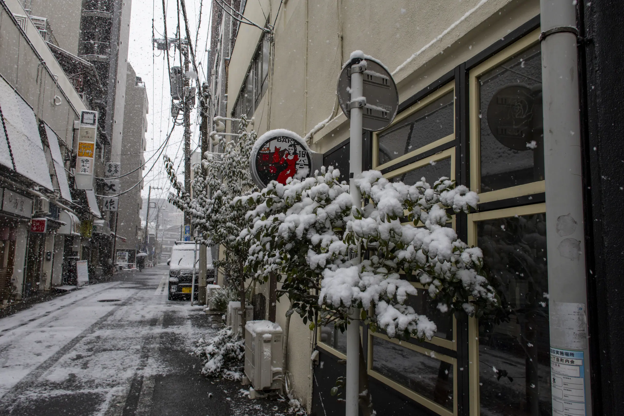 雪の横浜 No.4
