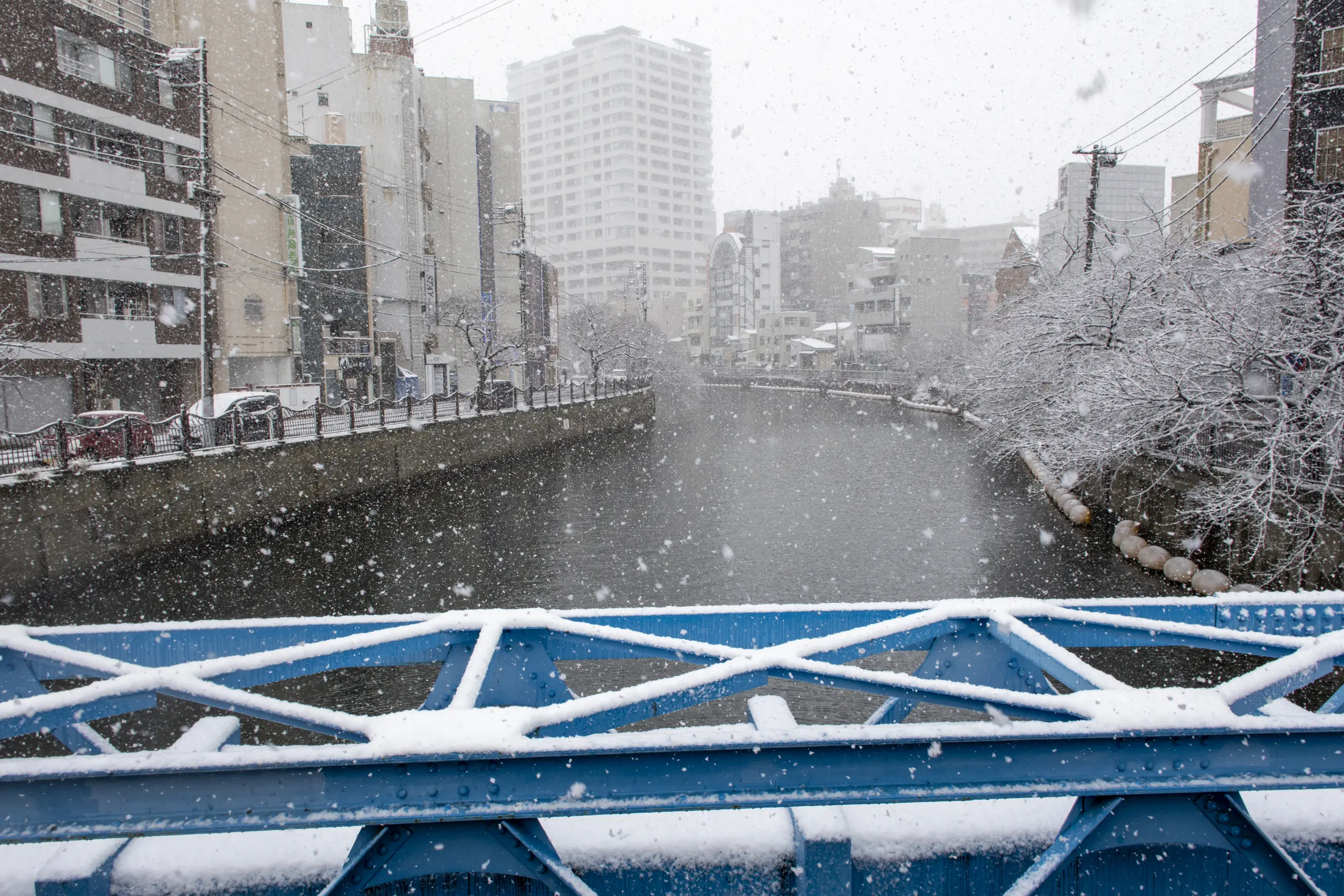 雪の横浜 No.7