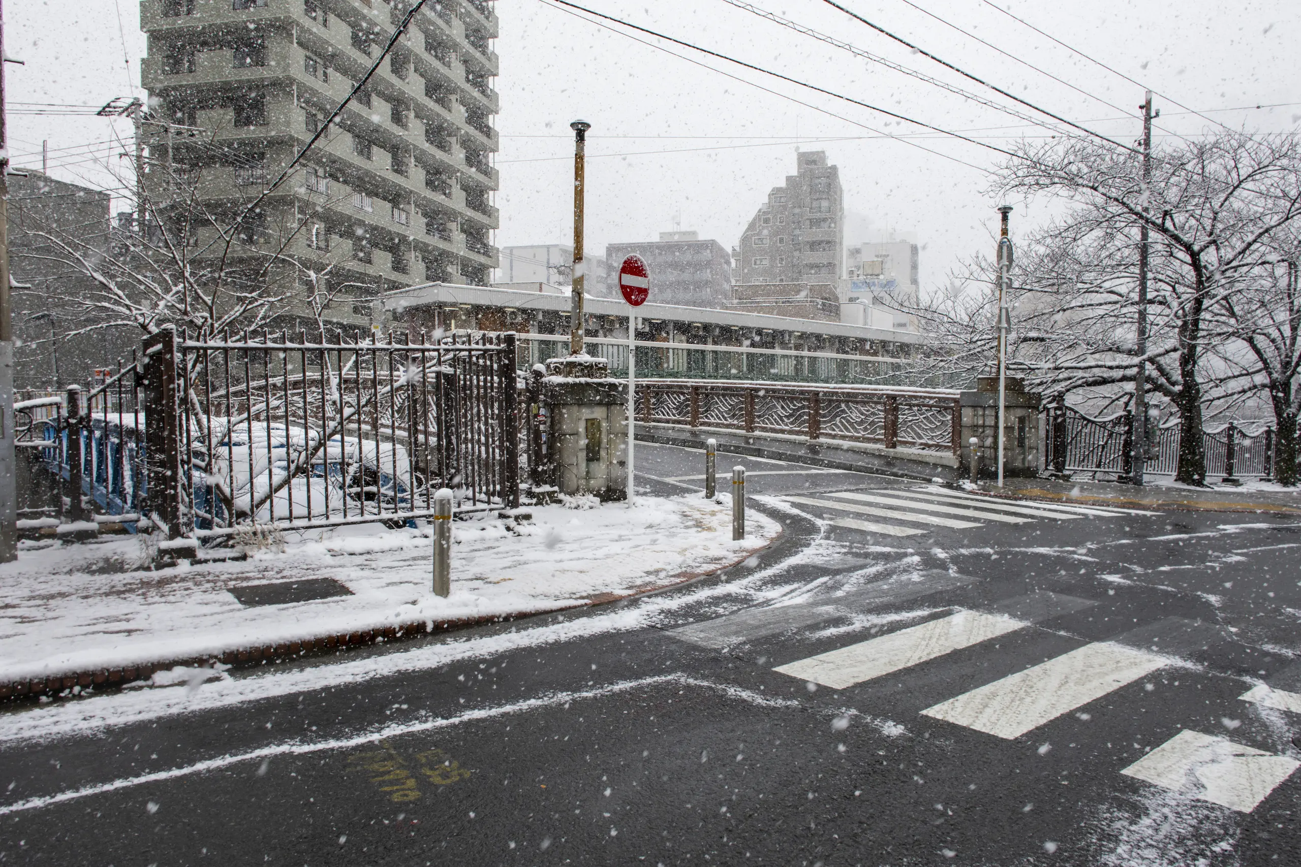 雪の横浜 No.8