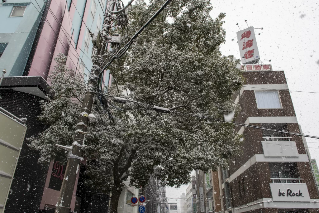 雪の横浜