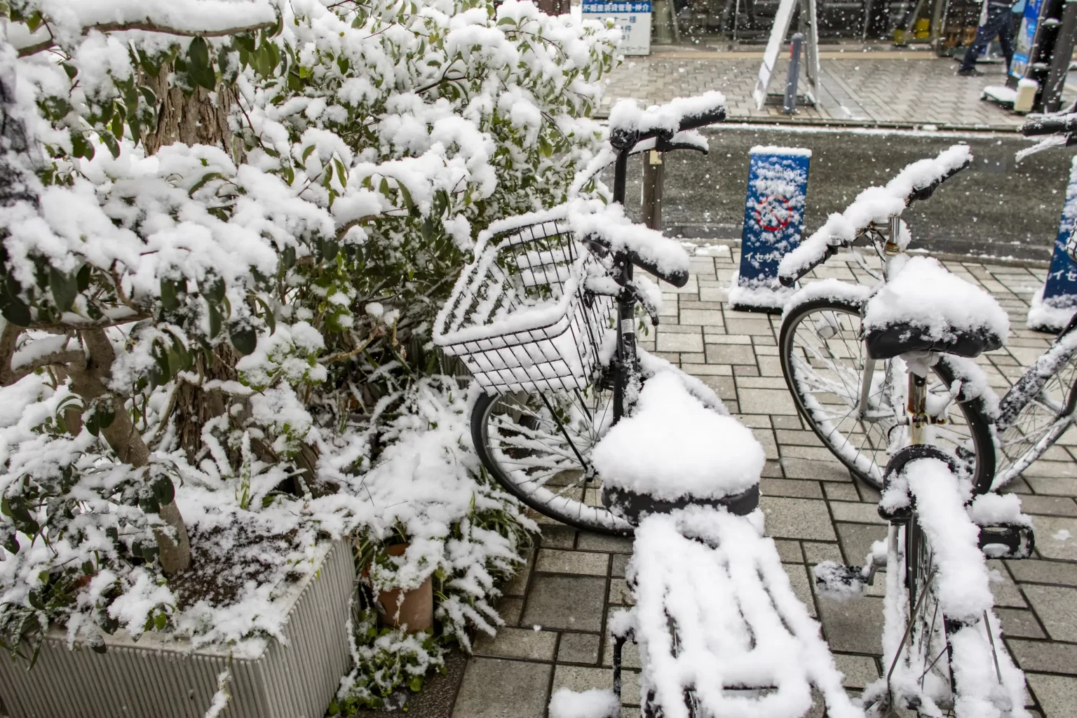 雪の横浜