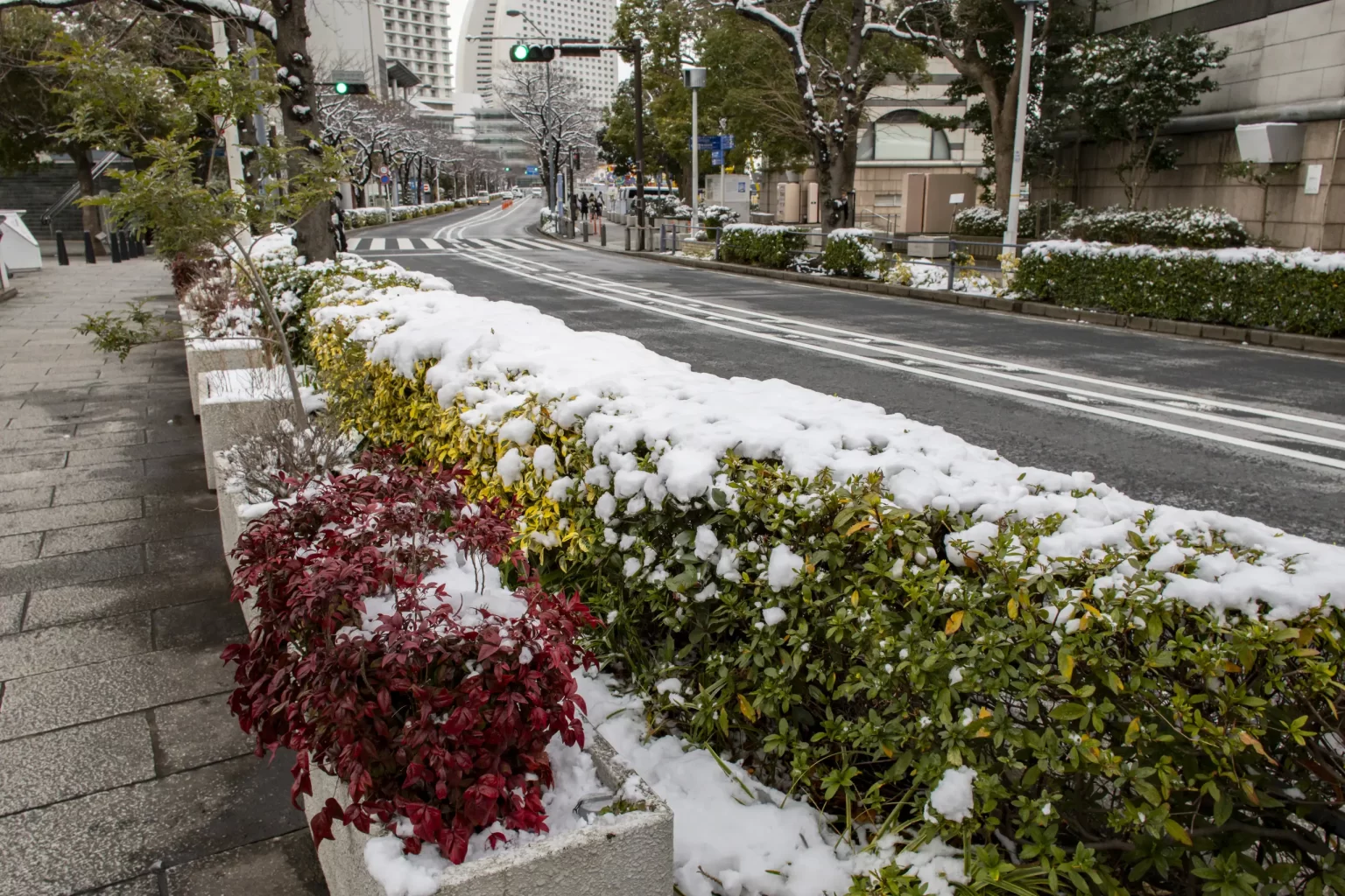 雪の横浜