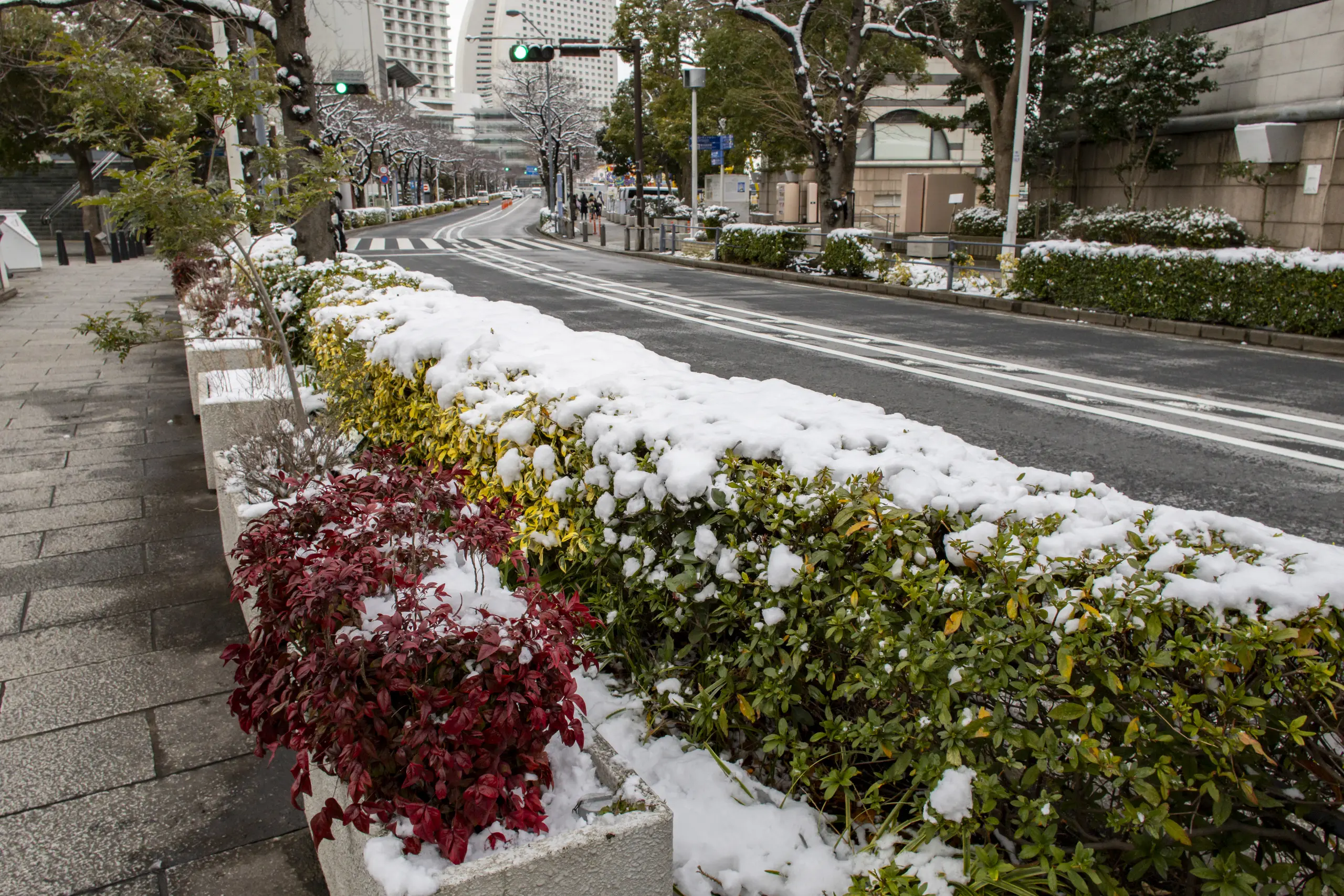雪の横浜 No.18