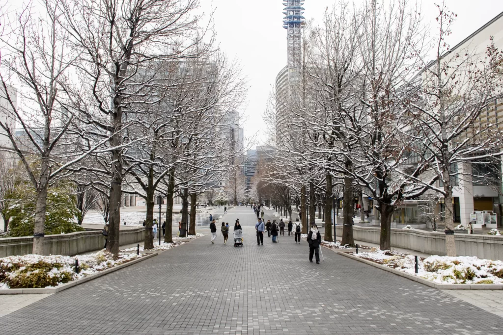 雪の横浜