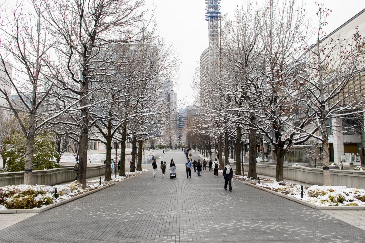 雪の横浜