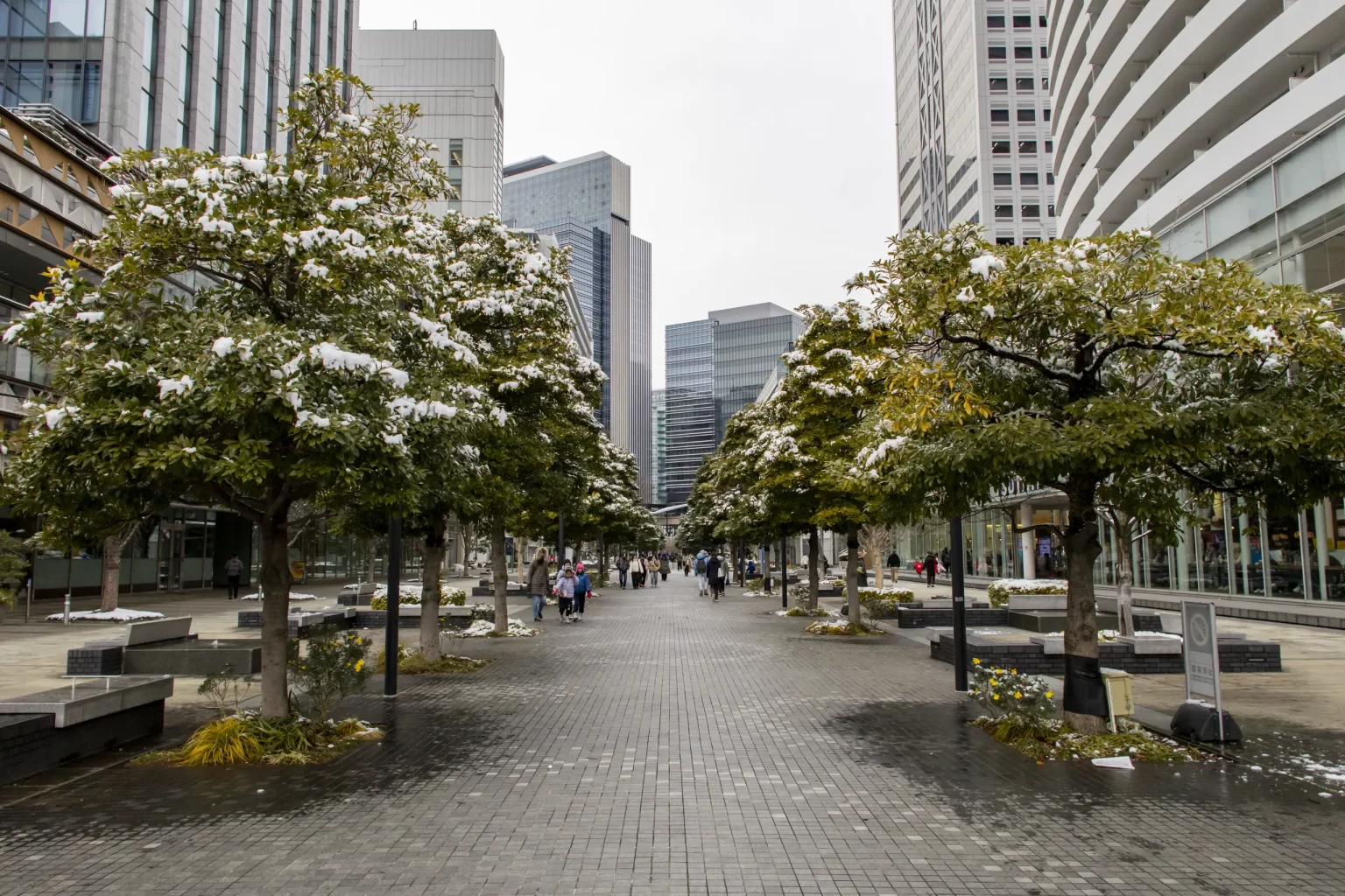 雪の横浜