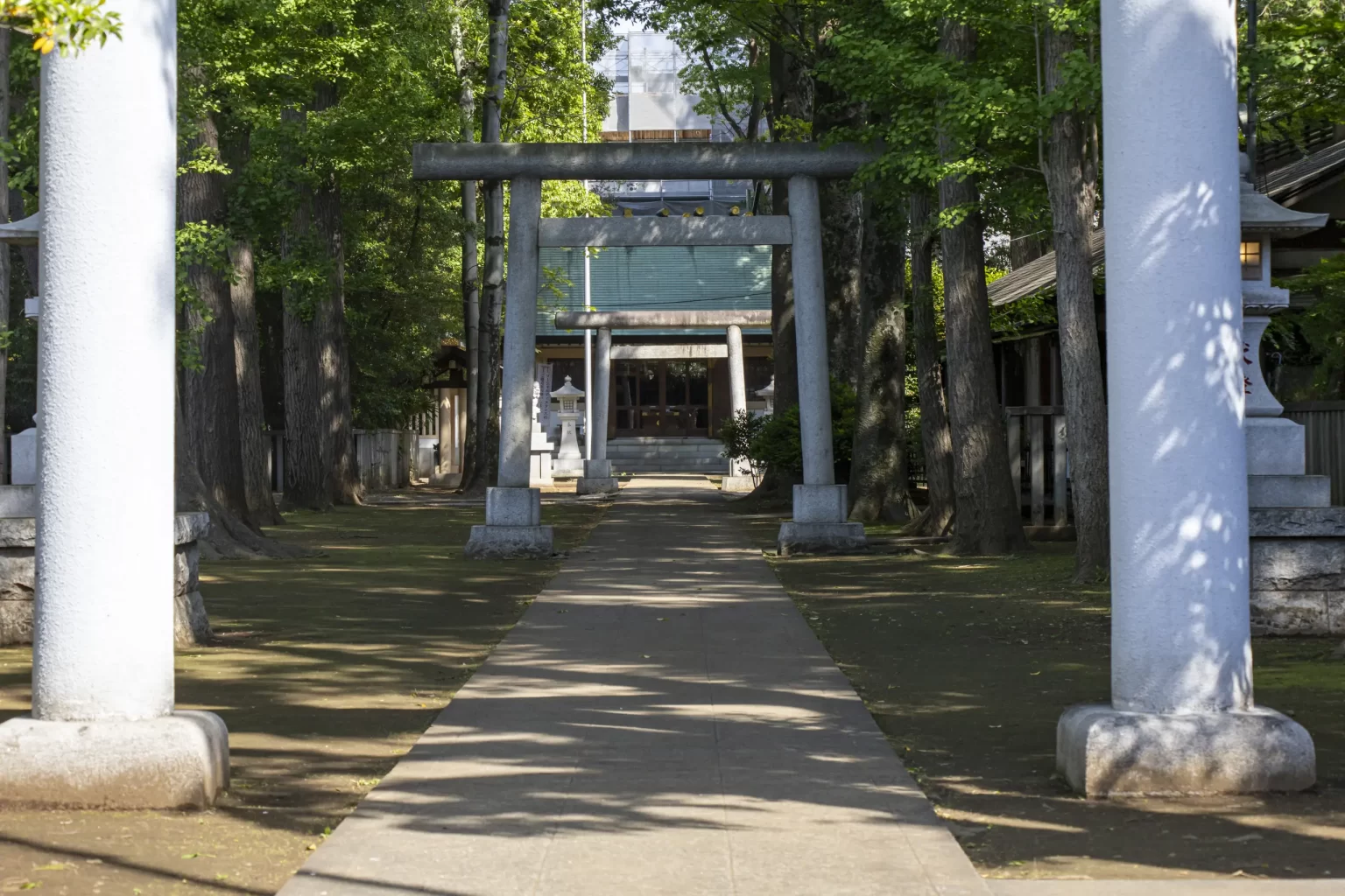 阿佐ヶ谷→荻窪→久我山→井の頭公園→吉祥寺