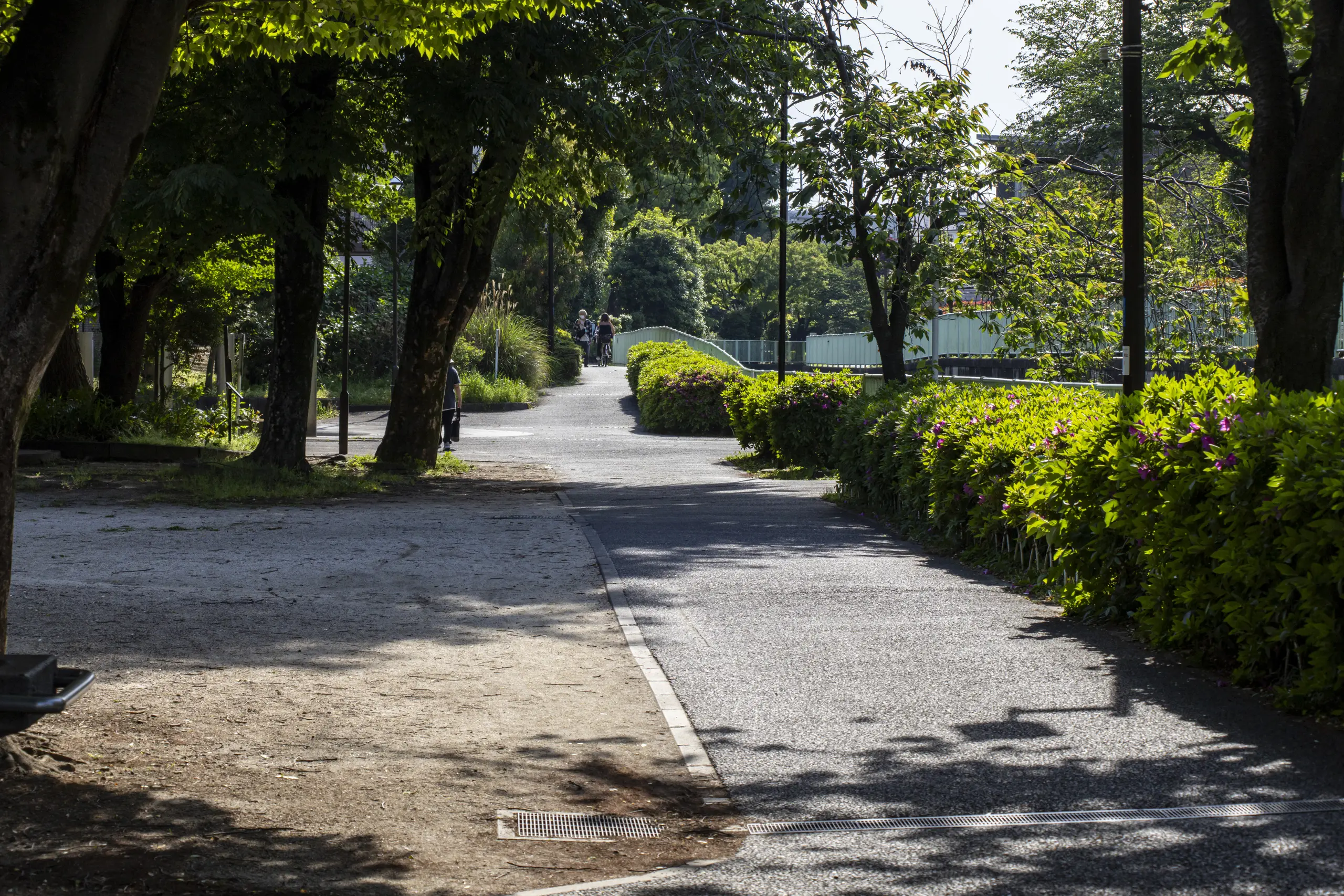 阿佐ヶ谷→荻窪→久我山→井の頭公園→吉祥寺 No.24