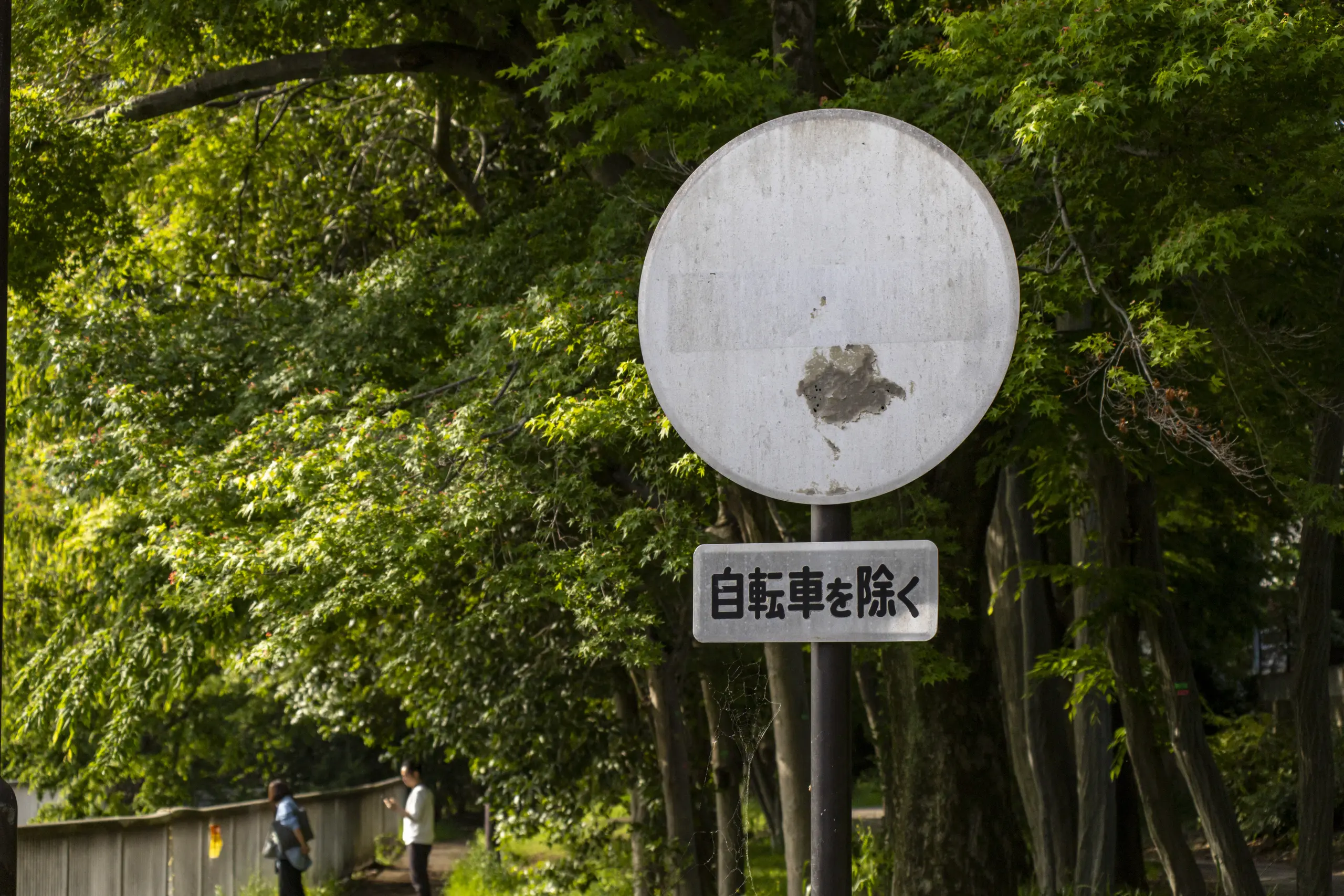 写真にすると横線がわかりやすい。