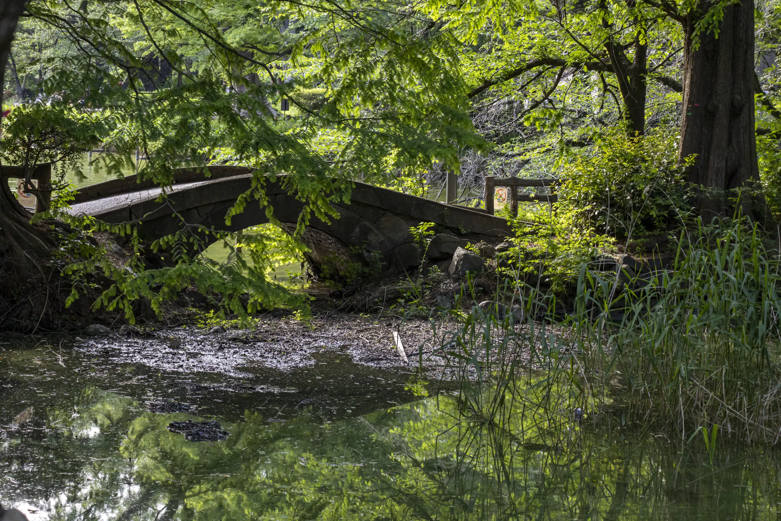 阿佐ヶ谷→荻窪→久我山→井の頭公園→吉祥寺 No.32