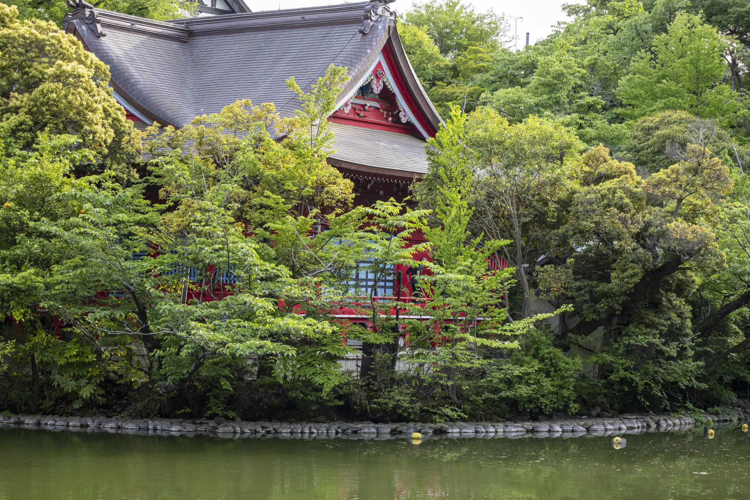 阿佐ヶ谷→荻窪→久我山→井の頭公園→吉祥寺 No.40