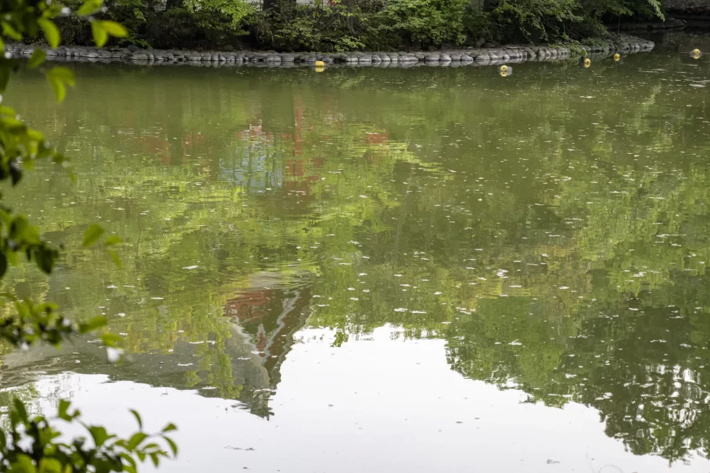 阿佐ヶ谷→荻窪→久我山→井の頭公園→吉祥寺
