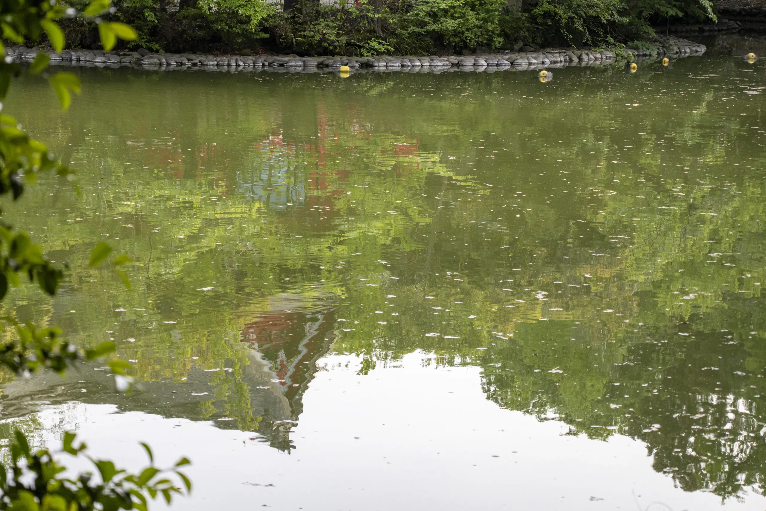 阿佐ヶ谷→荻窪→久我山→井の頭公園→吉祥寺 No.41