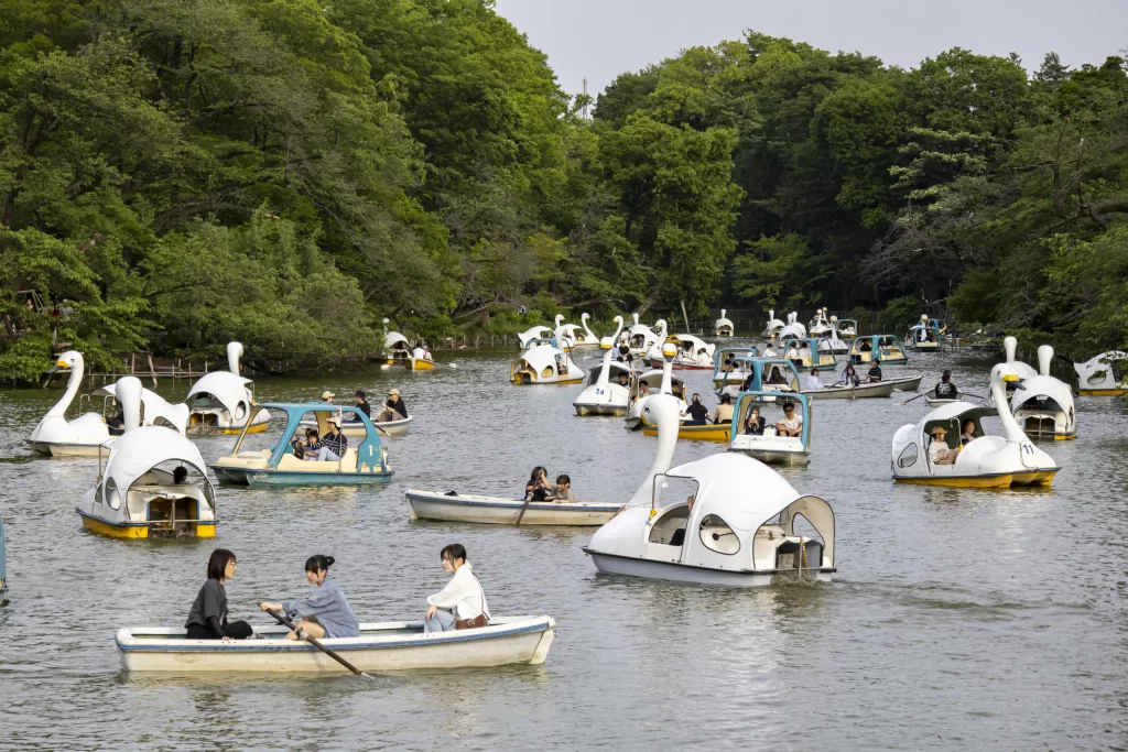 阿佐ヶ谷→荻窪→久我山→井の頭公園→吉祥寺