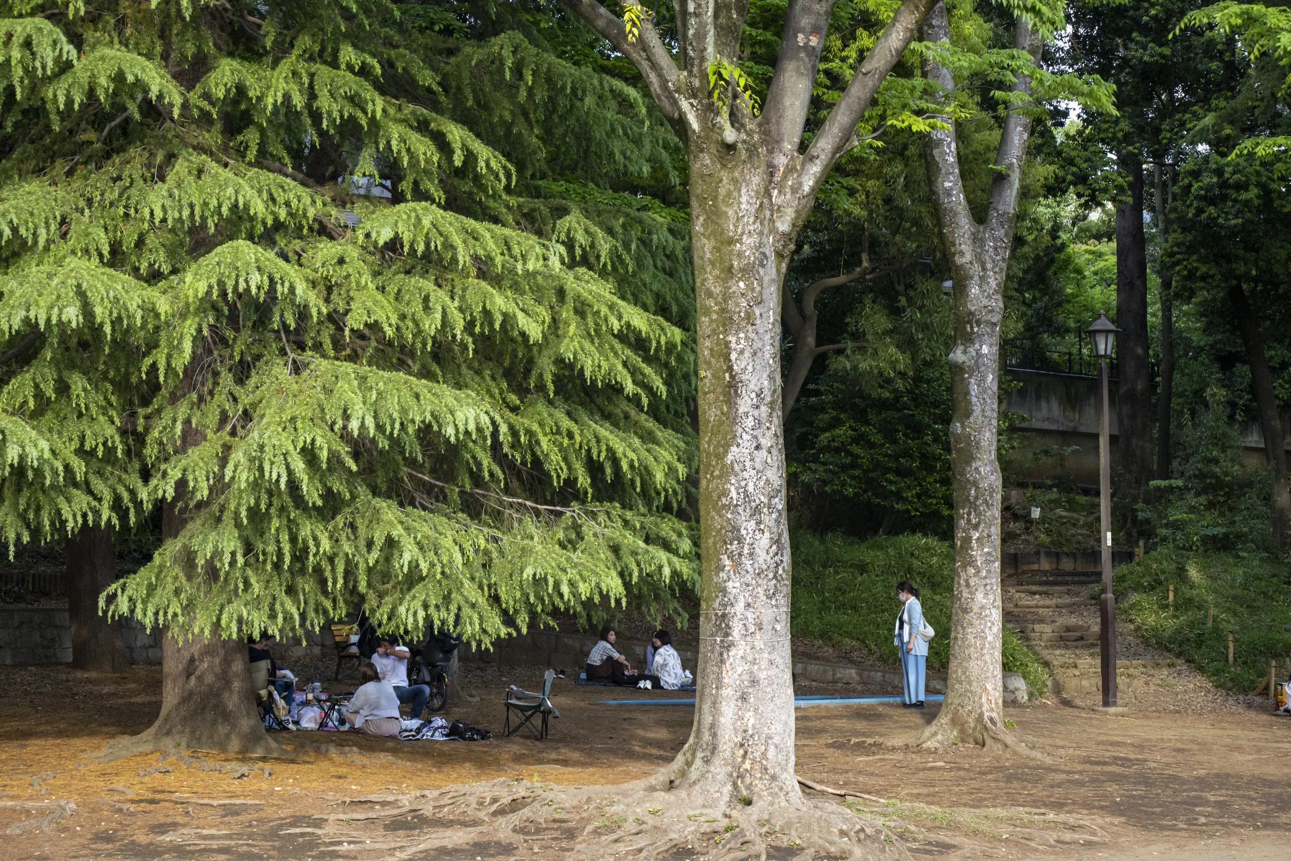 阿佐ヶ谷→荻窪→久我山→井の頭公園→吉祥寺 No.45