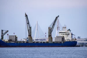 0P6A8395