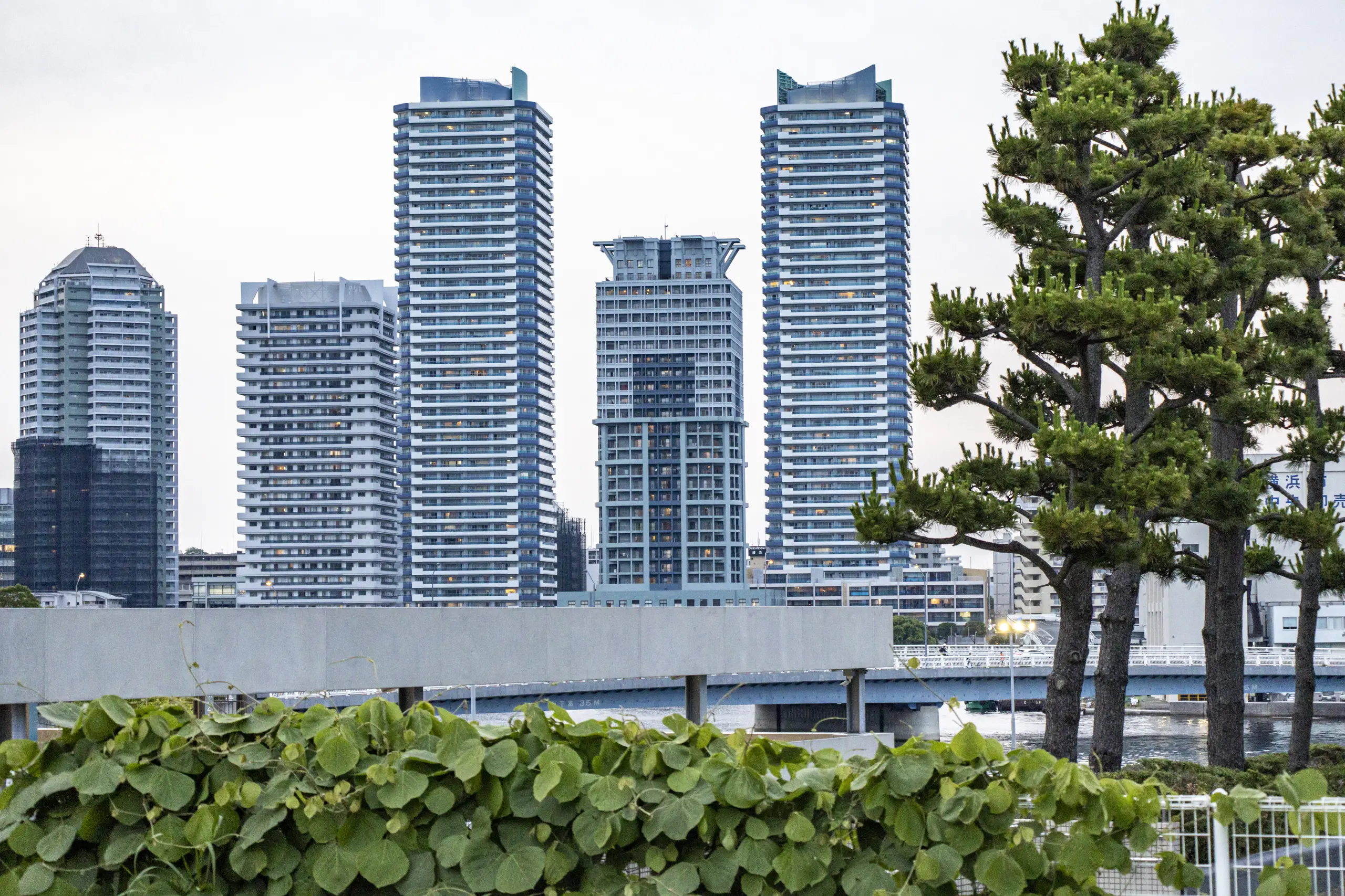 横浜臨港パーク No.14