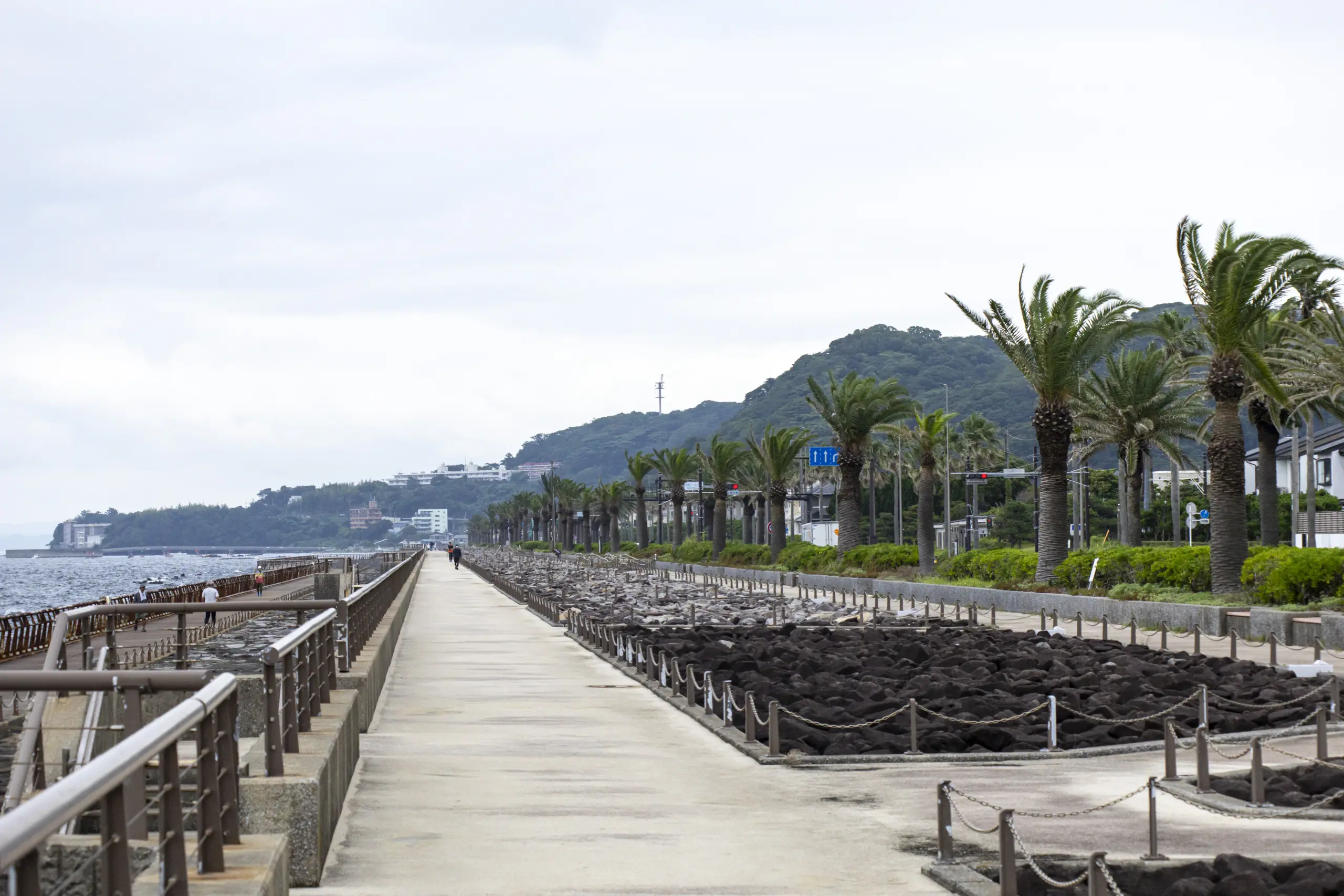 馬堀海岸