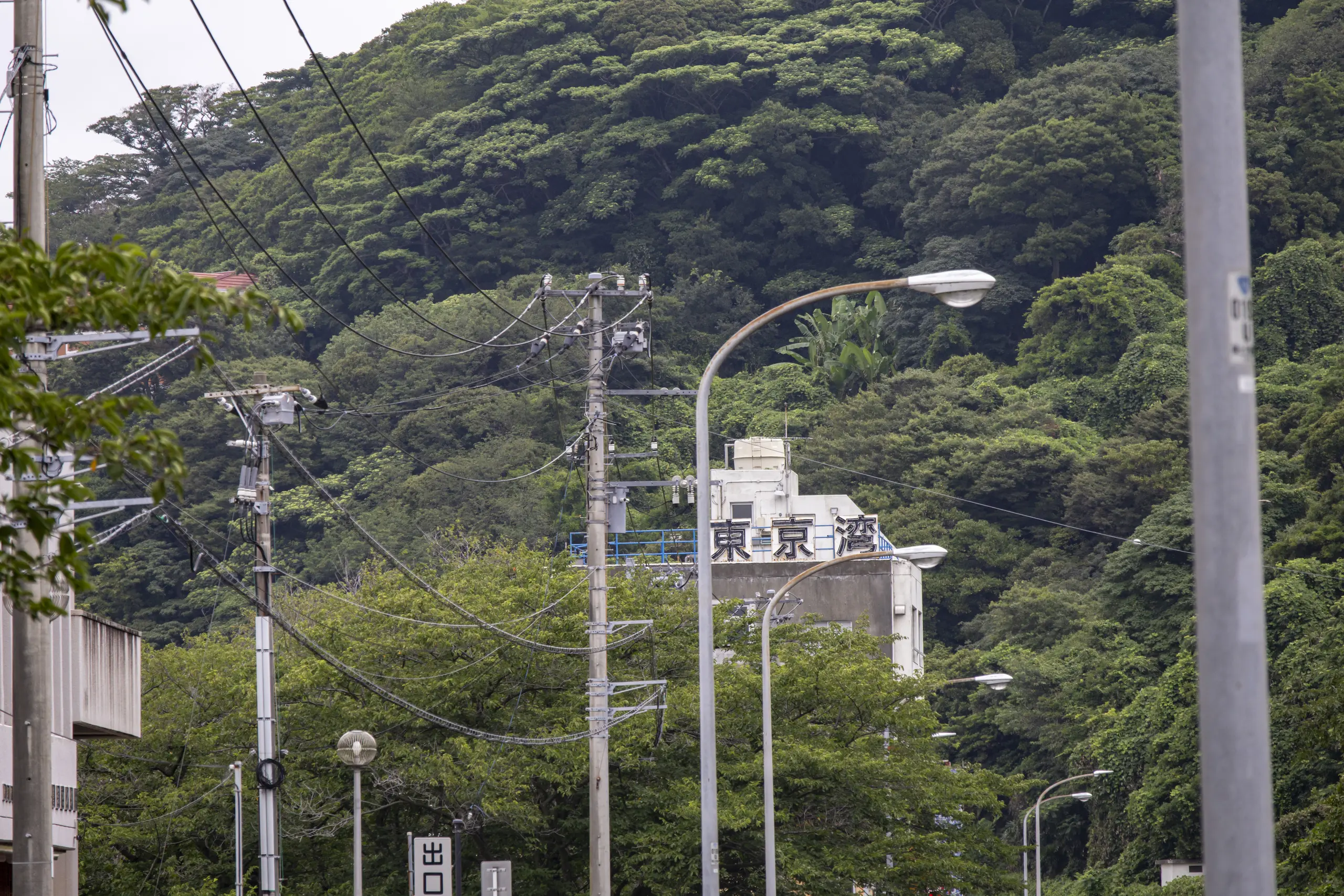 横須賀めぐり（馬堀海岸から観音崎を越えて浦賀、久里浜まで）＋弘明寺 No.7