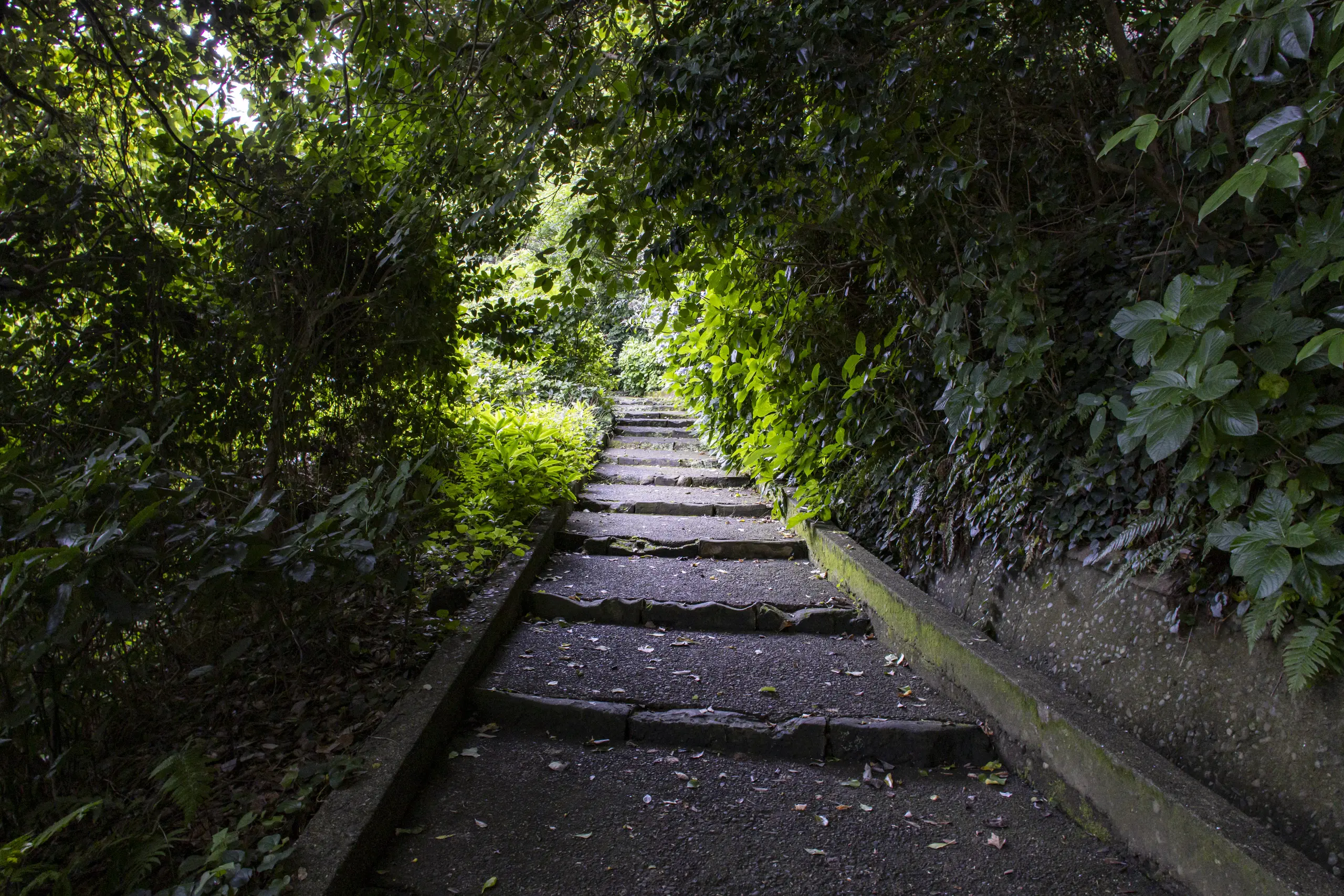 横須賀めぐり（馬堀海岸から観音崎を越えて浦賀、久里浜まで）＋弘明寺 No.25