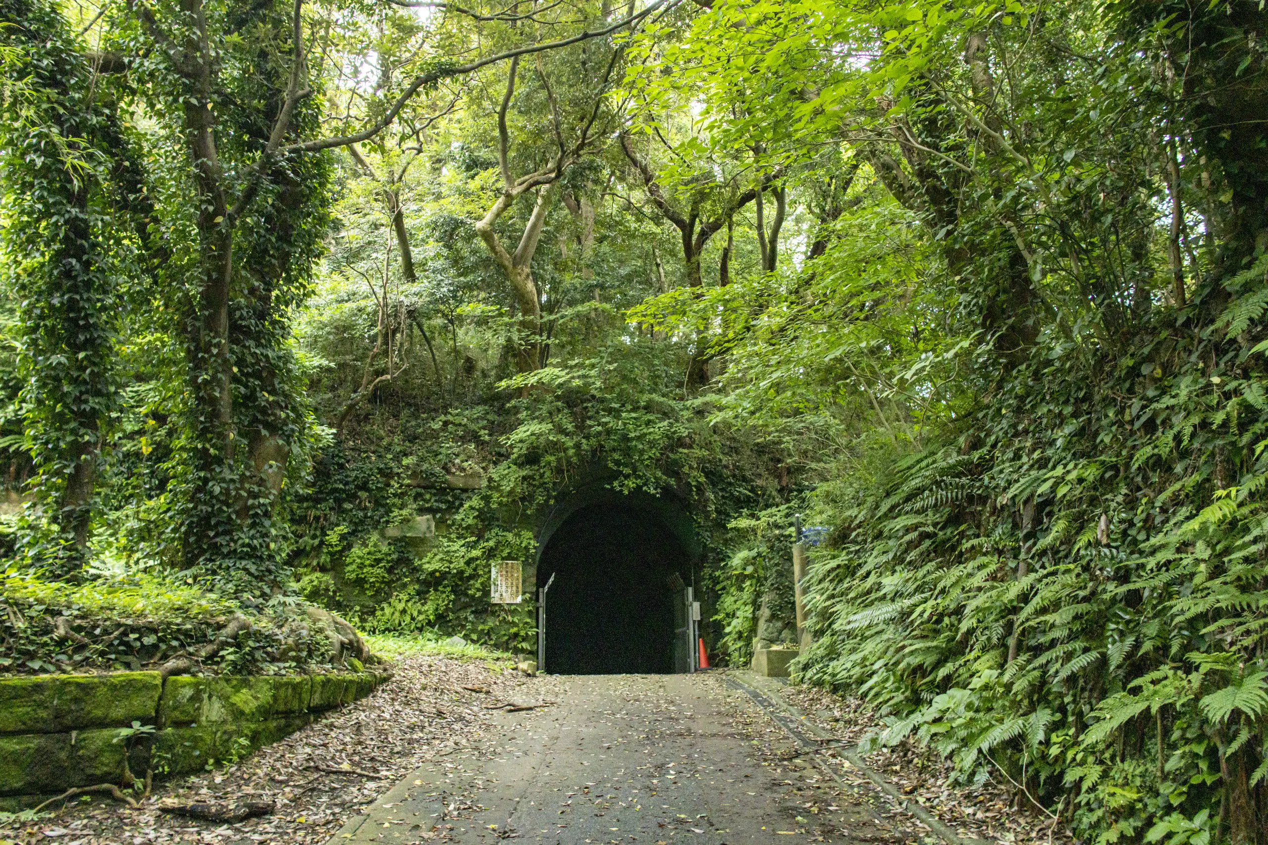 横須賀めぐり（馬堀海岸から観音崎を越えて浦賀、久里浜まで）＋弘明寺 No.36
