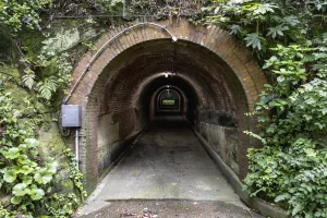 0P6A8560