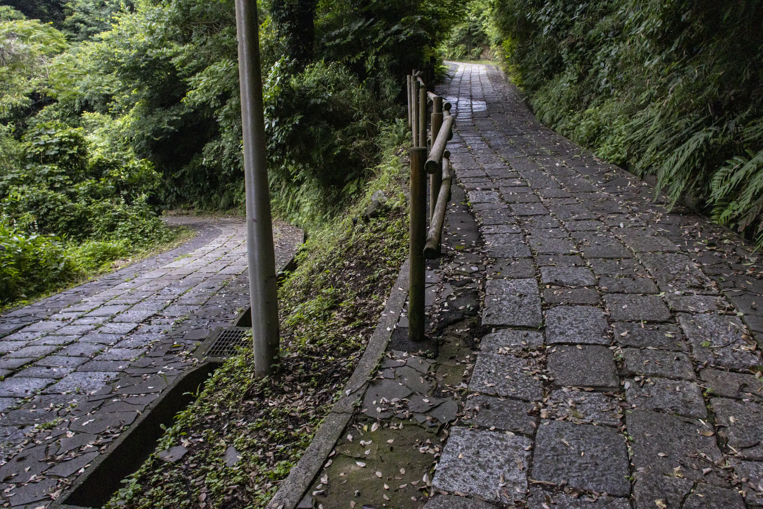 横須賀めぐり（馬堀海岸から観音崎を越えて浦賀、久里浜まで）＋弘明寺 No.44