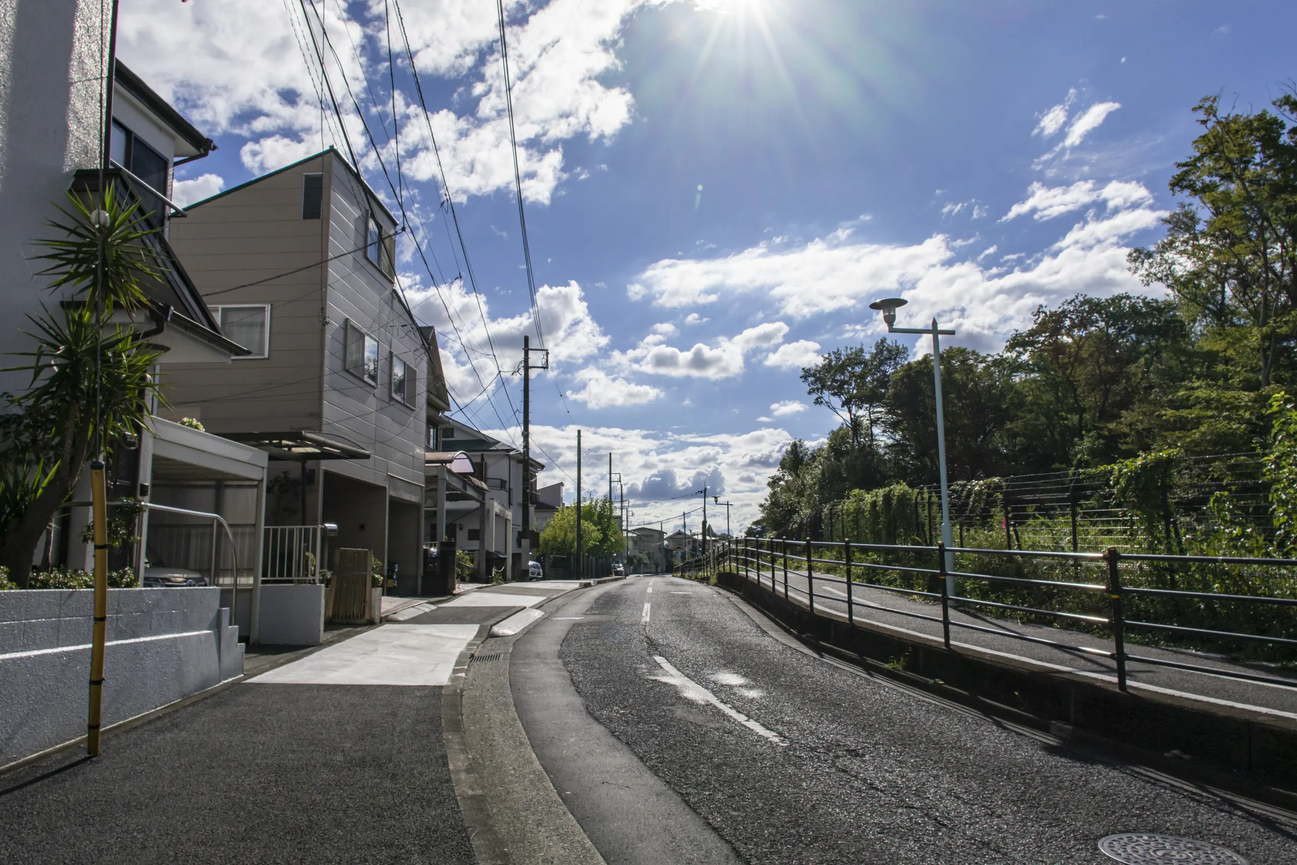 夏の多摩湖東側をぐるっと一周の散歩 No.1