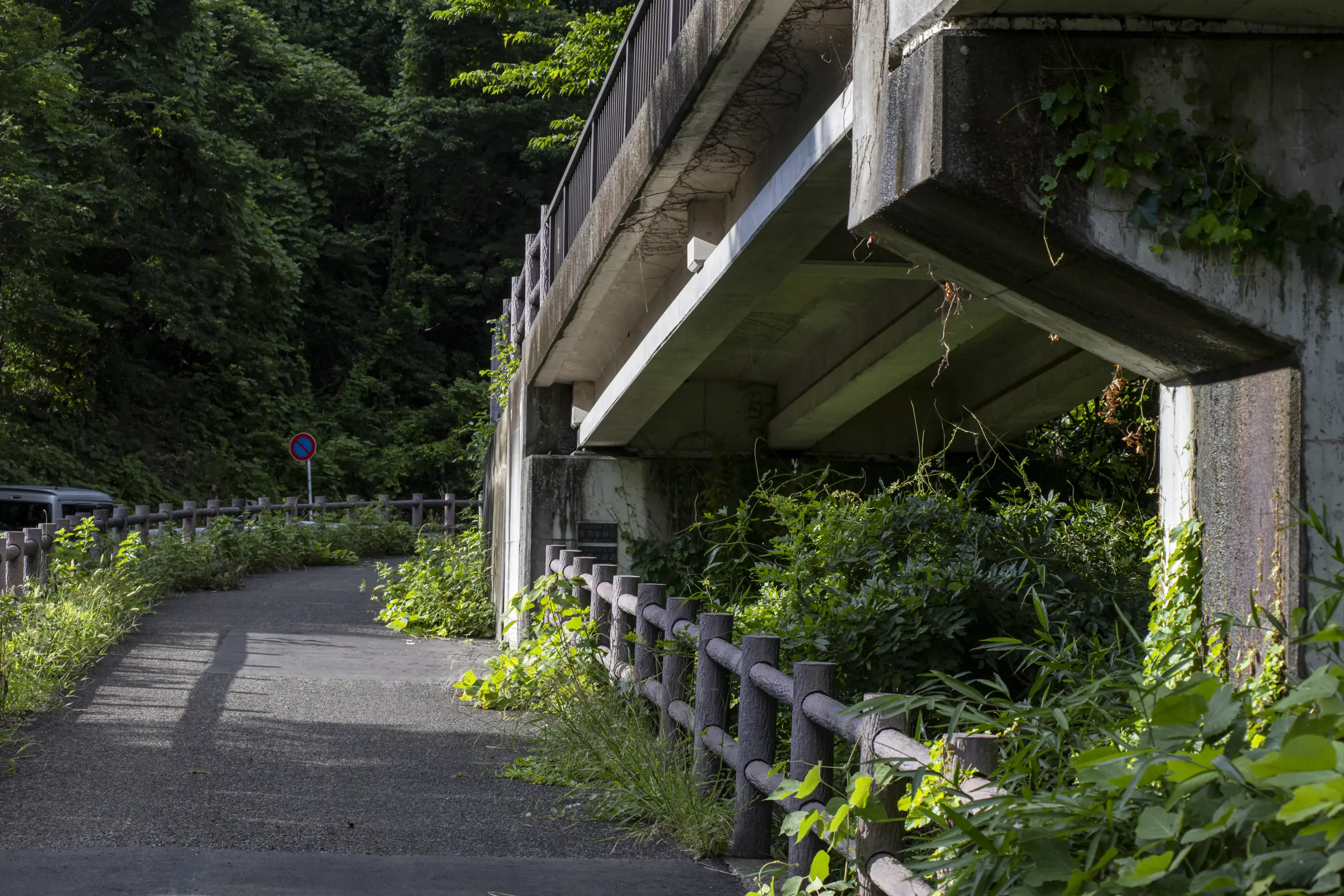 夏の多摩湖東側をぐるっと一周の散歩 No.20
