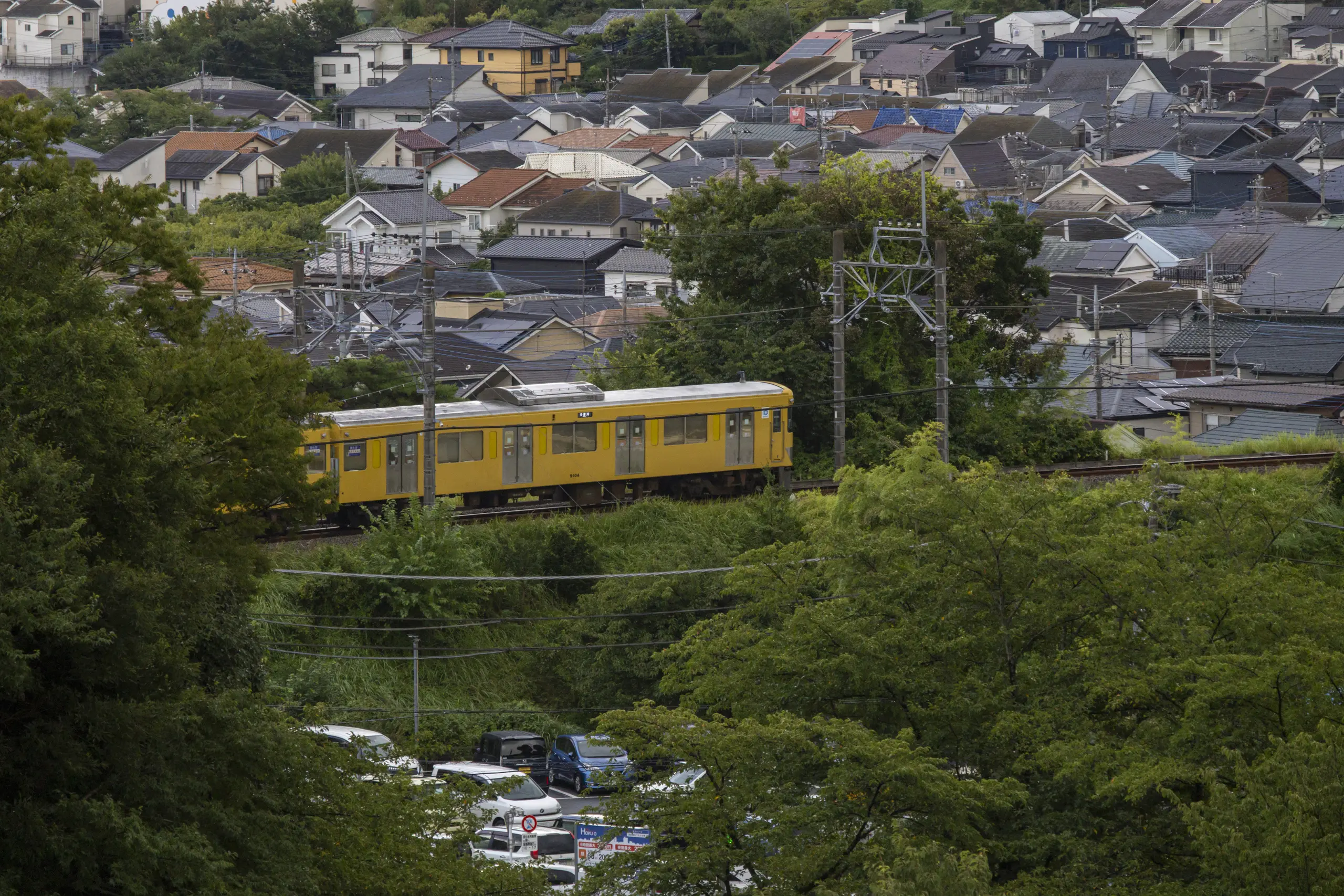 夏の多摩湖東側をぐるっと一周の散歩 No.26