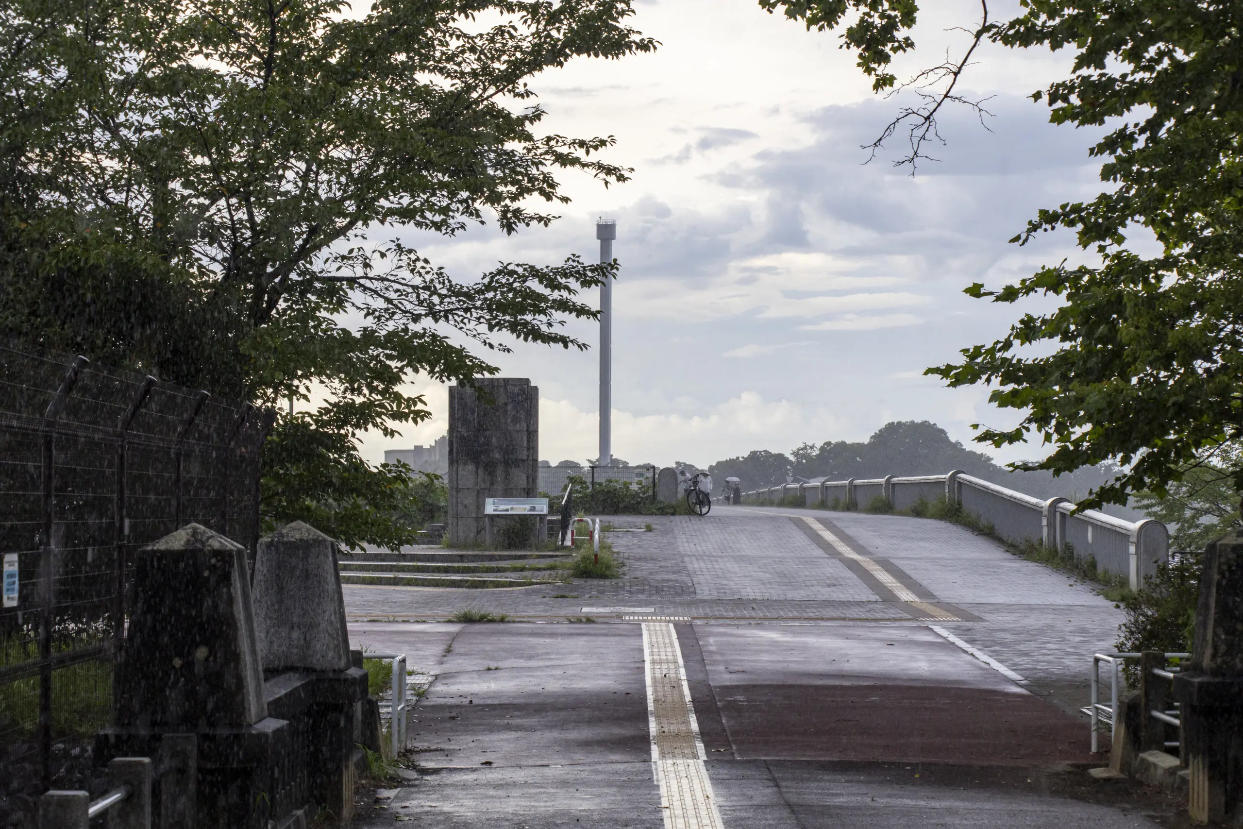 ここでいきなり雨再開