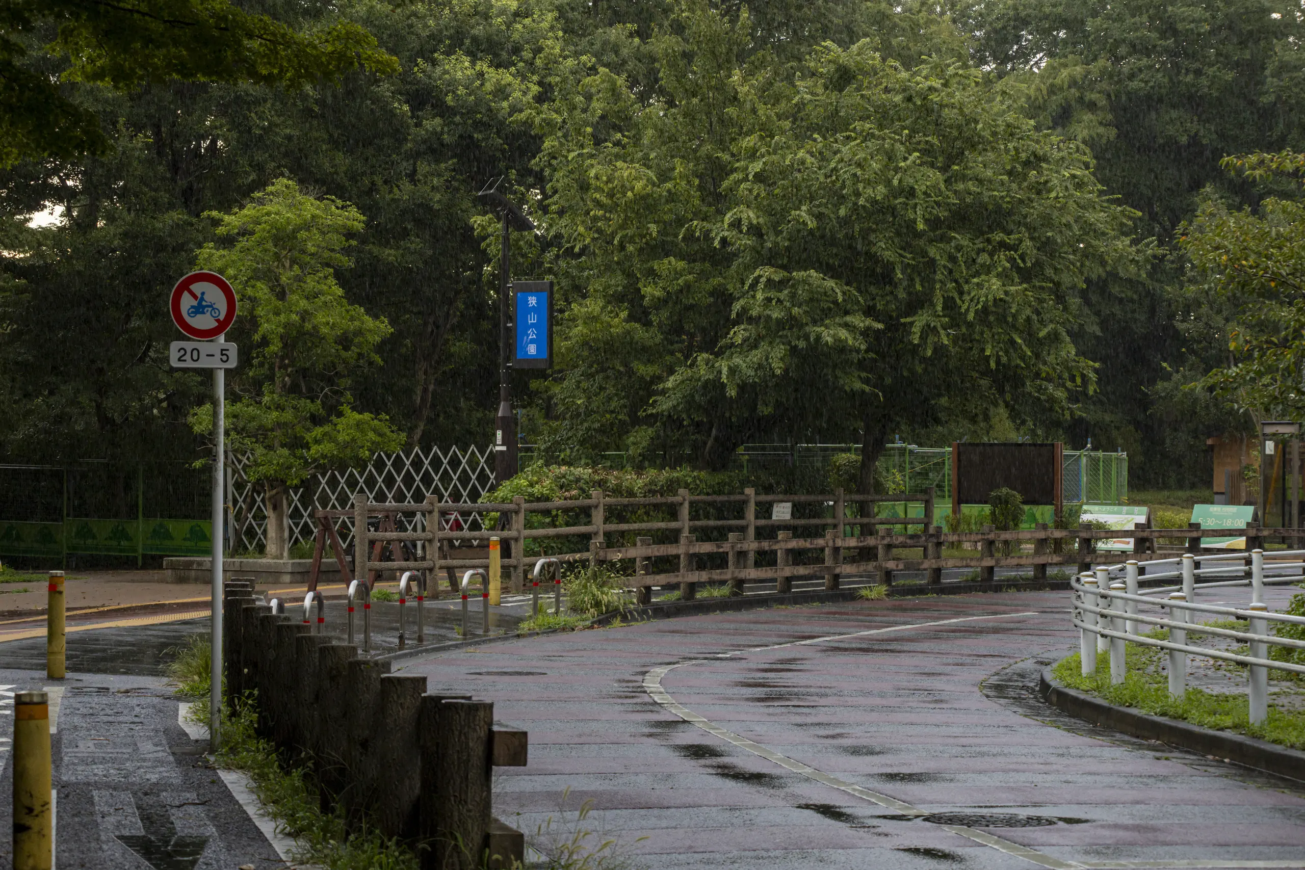 夏の多摩湖東側をぐるっと一周の散歩 No.31