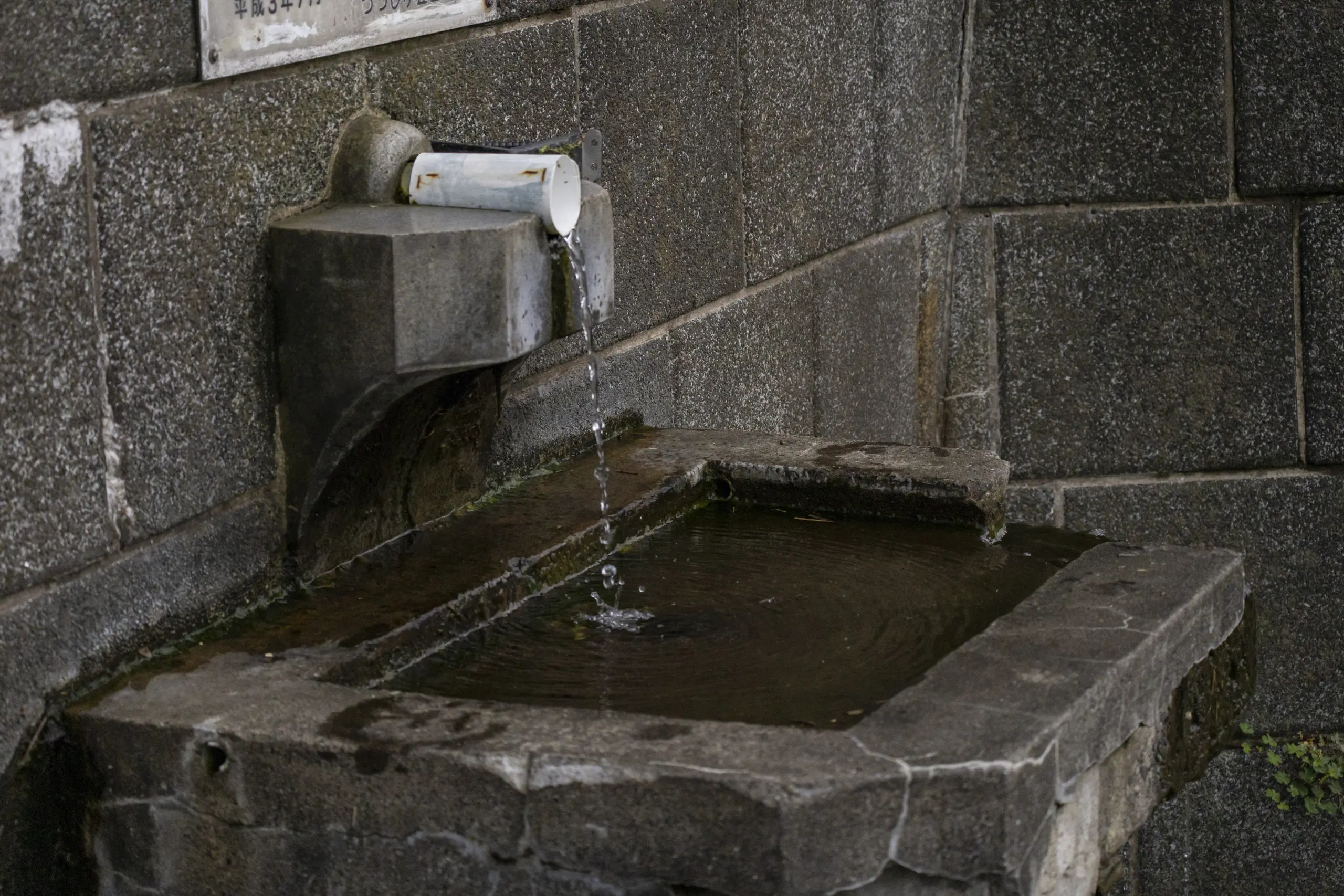 岸谷の湧水